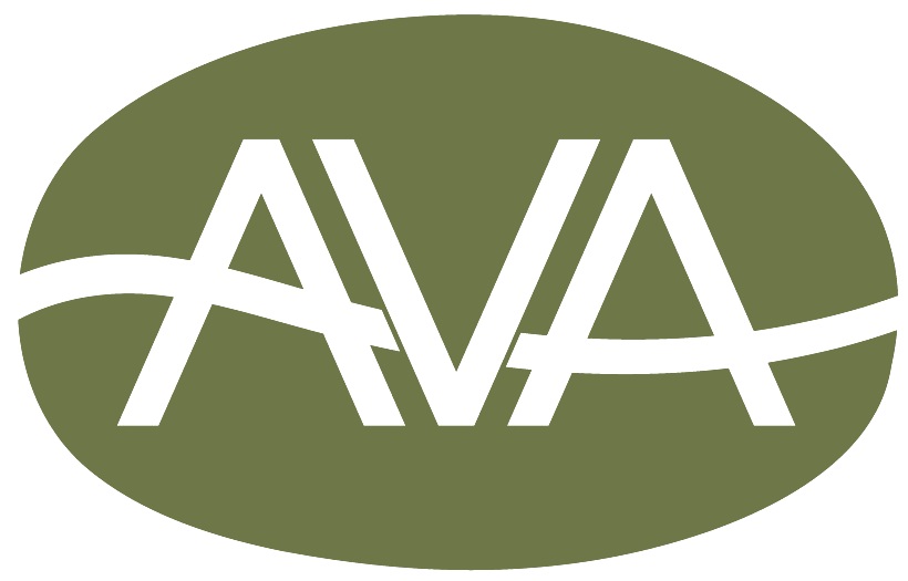AVA — In Coffee We Trust